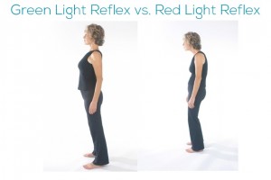 Green Light vs. Red Light Reflex